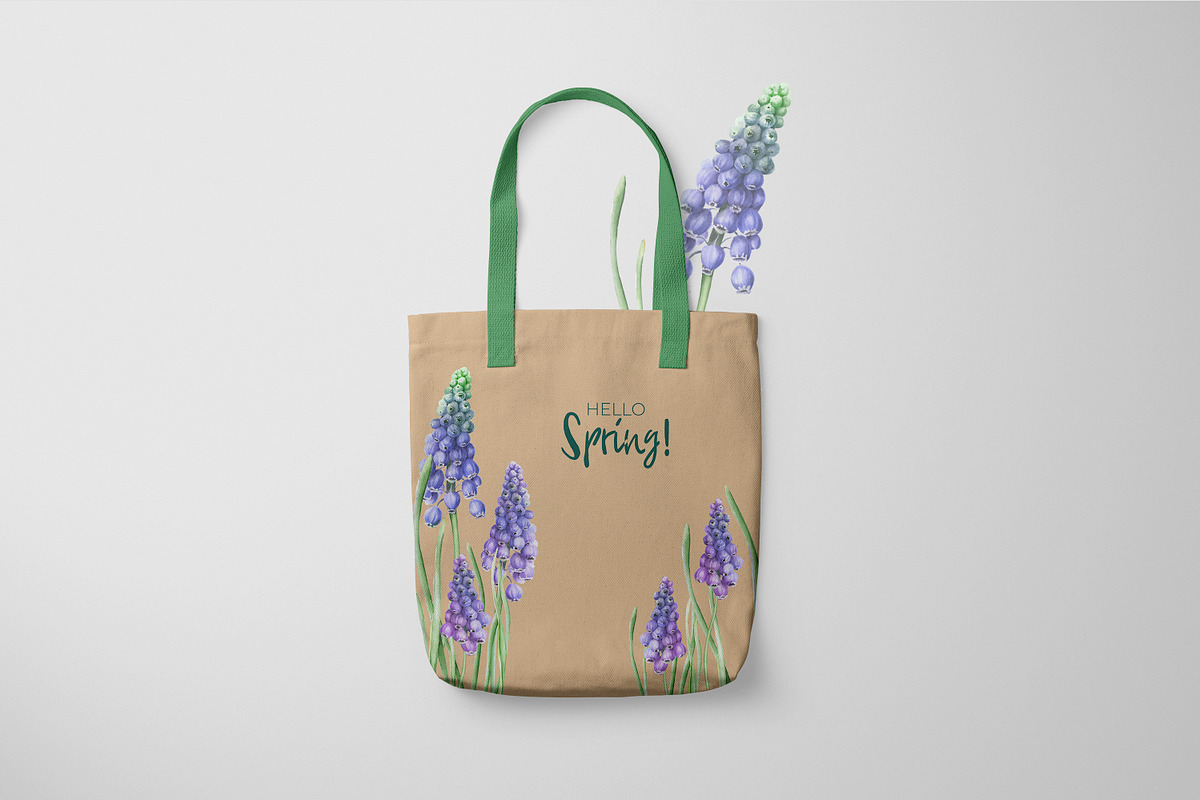Botanical Muscari Set, an Illustration by Olga Koelsch (Photo 8 of 9)