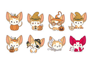 Set Halloween Abyssinian Cat