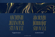 Srolemo Typeface, a Serif Font by alit design (Thumbnail 5 of 17)