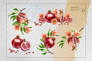 Pomegranates Watercolor collection, a Food Illustration by Farida Bik (Thumbnail 3 of 15)