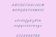 Panole Calligraphy Script, a Script Font by Creative Foundry (Thumbnail 6 of 8)