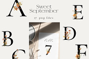 Sweet September - autumn collection, an Illustration by AleksaArt (Thumbnail 6 of 13)