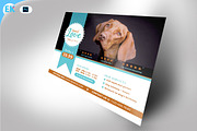 Animal Care Flyer (11x8.5 and 6x4), a Flyer Template by Epickita (Thumbnail 1 of 2)