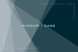 Kinship Sans - Grotesque Font Family, a Sans Serif Font by Colt Type Co