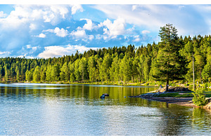 Sognsvann lake north of oslo containing lake, sognsvann, and nature, a Nature Photo by Leonid Andronov
