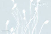 Botanical Traces: Blurred Floral PNG, an Object Graphic by Dina Mae (Thumbnail 5 of 14)