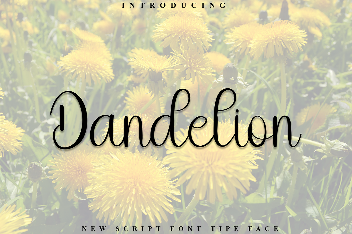 Dandelion, a Handwritten Font by FreshTypeINK (Photo 1 of 8)