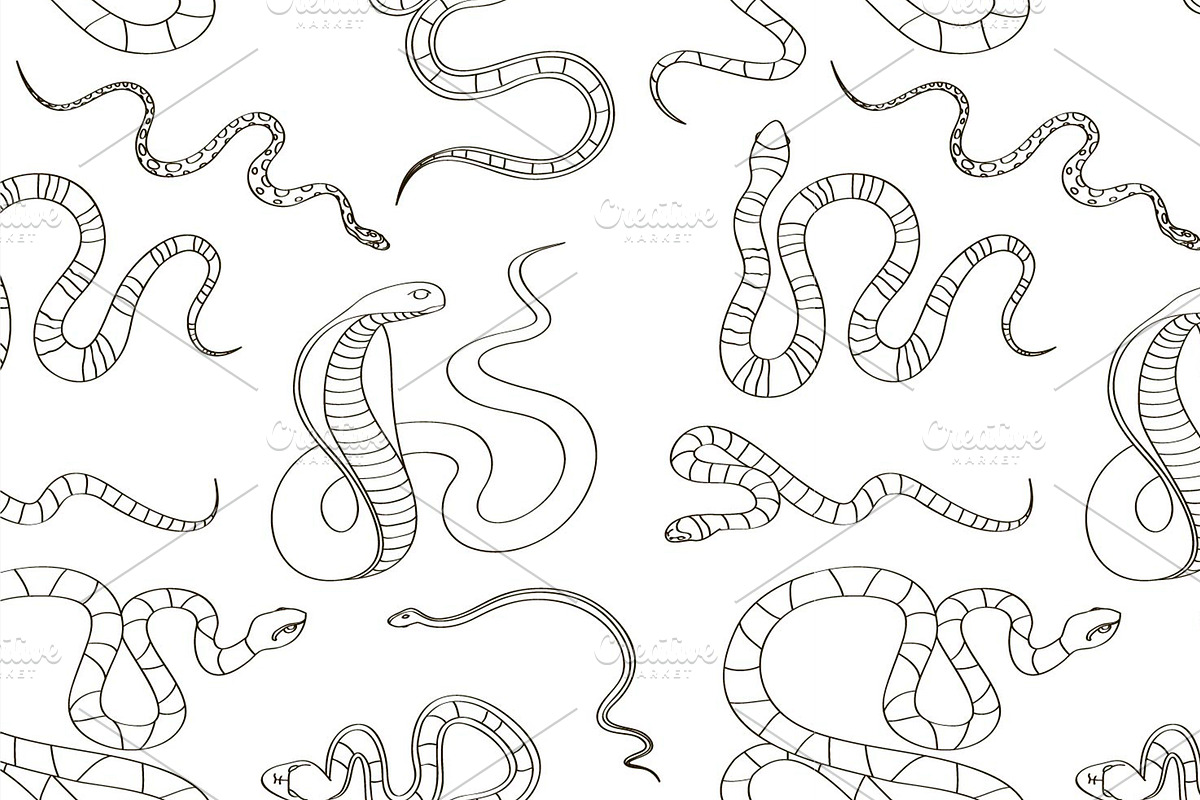 Snake set pattern, a Pattern Graphic by Netkoff