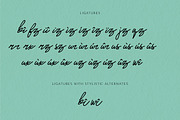 Mr. Skywhale Signature Script Font, a Handwritten Font by ashenterprise (Thumbnail 12 of 16)