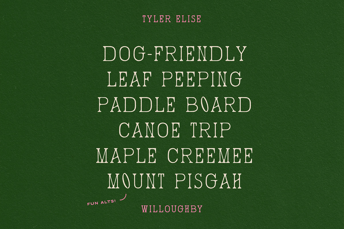 WILLOUGHBY by Tyler Elise, a Serif Font by tylerelise (Photo 4 of 7)