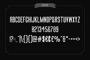 Big Stem Type Family, a Sans Serif Font by BorisG (Thumbnail 2 of 14)