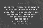 Malaya - A Classic Serif Font, a Serif Font by Wilsonkjc (Thumbnail 13 of 13)