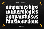 TAN - KIOSK, a Serif Font by TanType (Thumbnail 2 of 16)