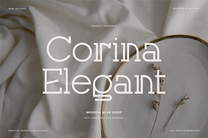 Corina Elegant | Modern Slab Serif, a Slab Serif Font by gracetype_studio