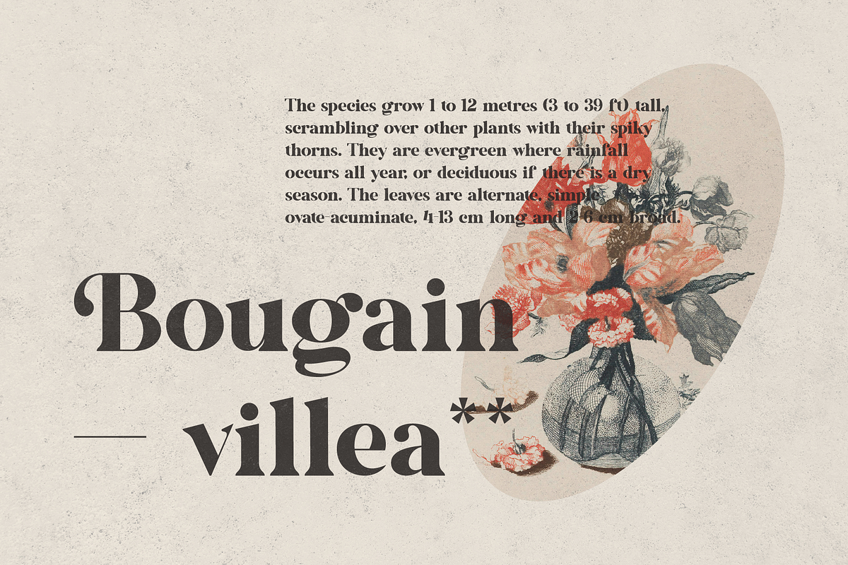 Kidstock, a Serif Font by ilhamtaro (Photo 5 of 11)