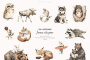 An Autumn Forest Chapter Collection, an Animal Illustration by PeDe Designs (Thumbnail 3 of 29)