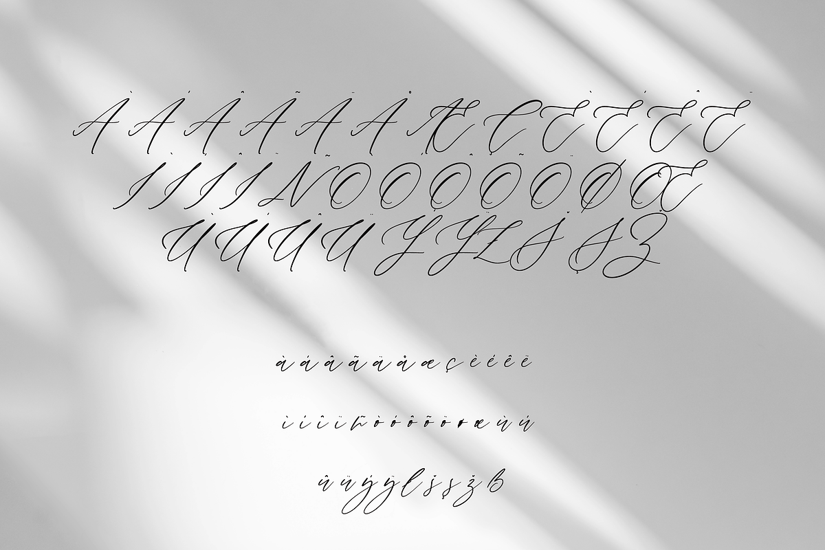 Aria Script, a Handwritten Font by Creative Foundry (Photo 8 of 8)