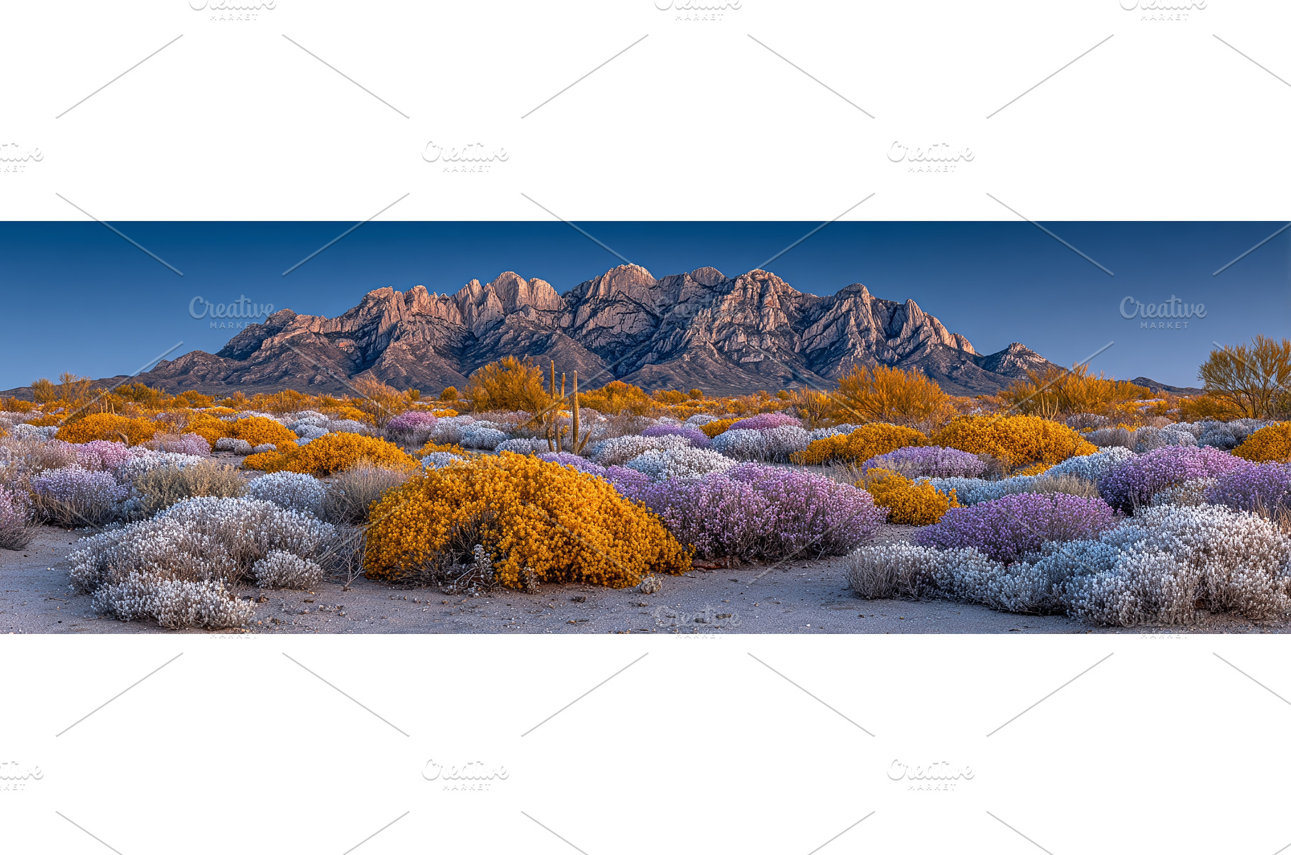 In Big Bend National Park, Texas, an Industrial Photo by ZinetroN
