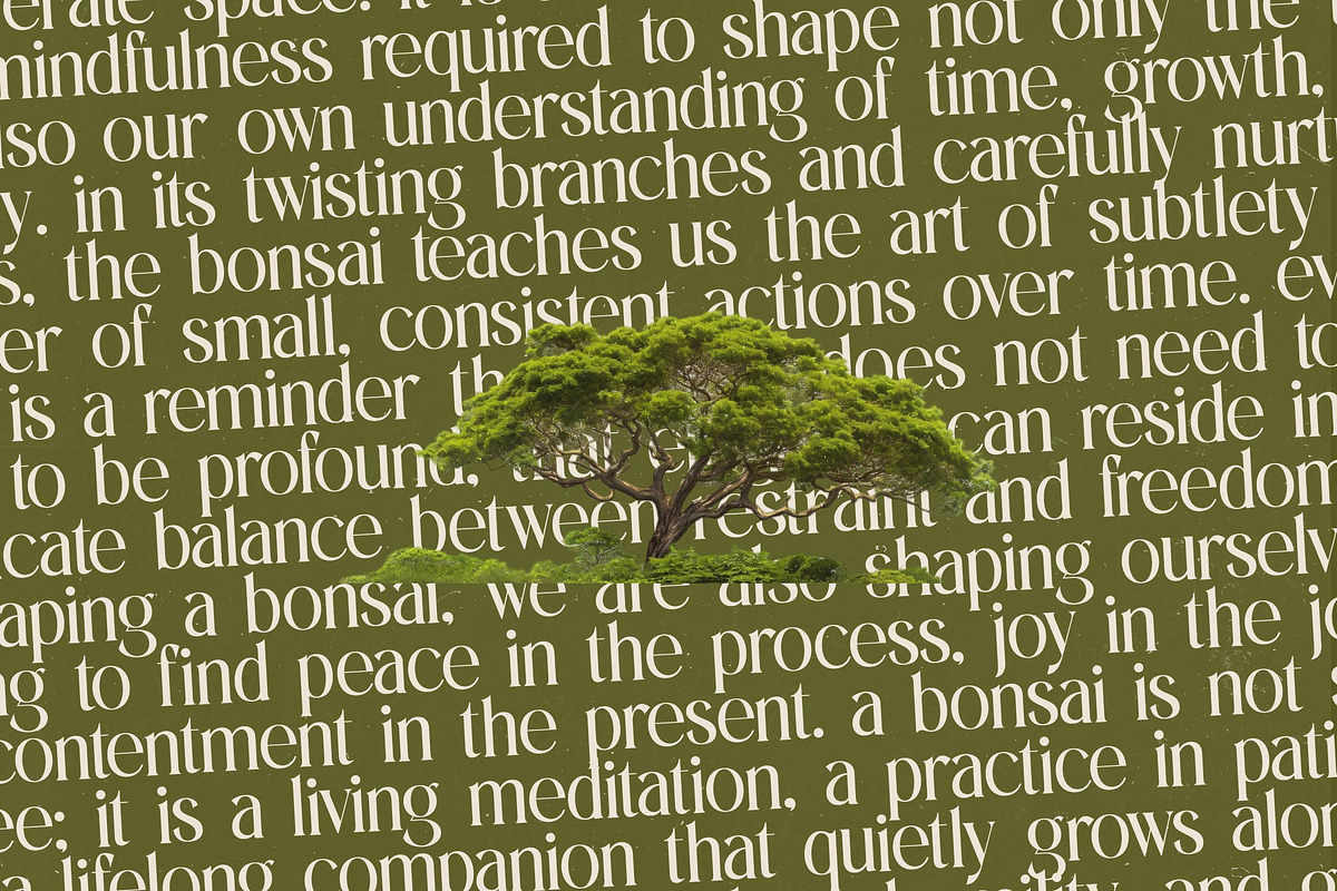 Eternalo Bold Luxury Modern Serif, a Serif Font by timelesstype.co (Photo 17 of 20)