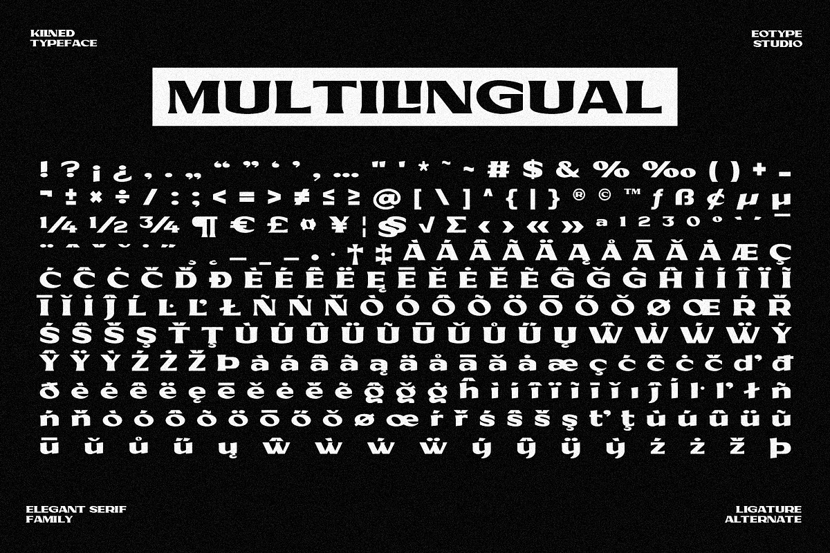 Kilned - Extended serif family, a Font by Eotype Studio (Photo 9 of 11)