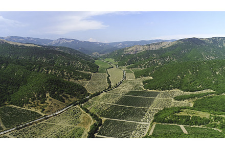 Aerial view of farm fields, a Nature Photo by Media Whale Stock