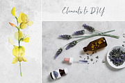 Lavender sunshine, an Object Illustration by MsFlaffy (Thumbnail 2 of 12)