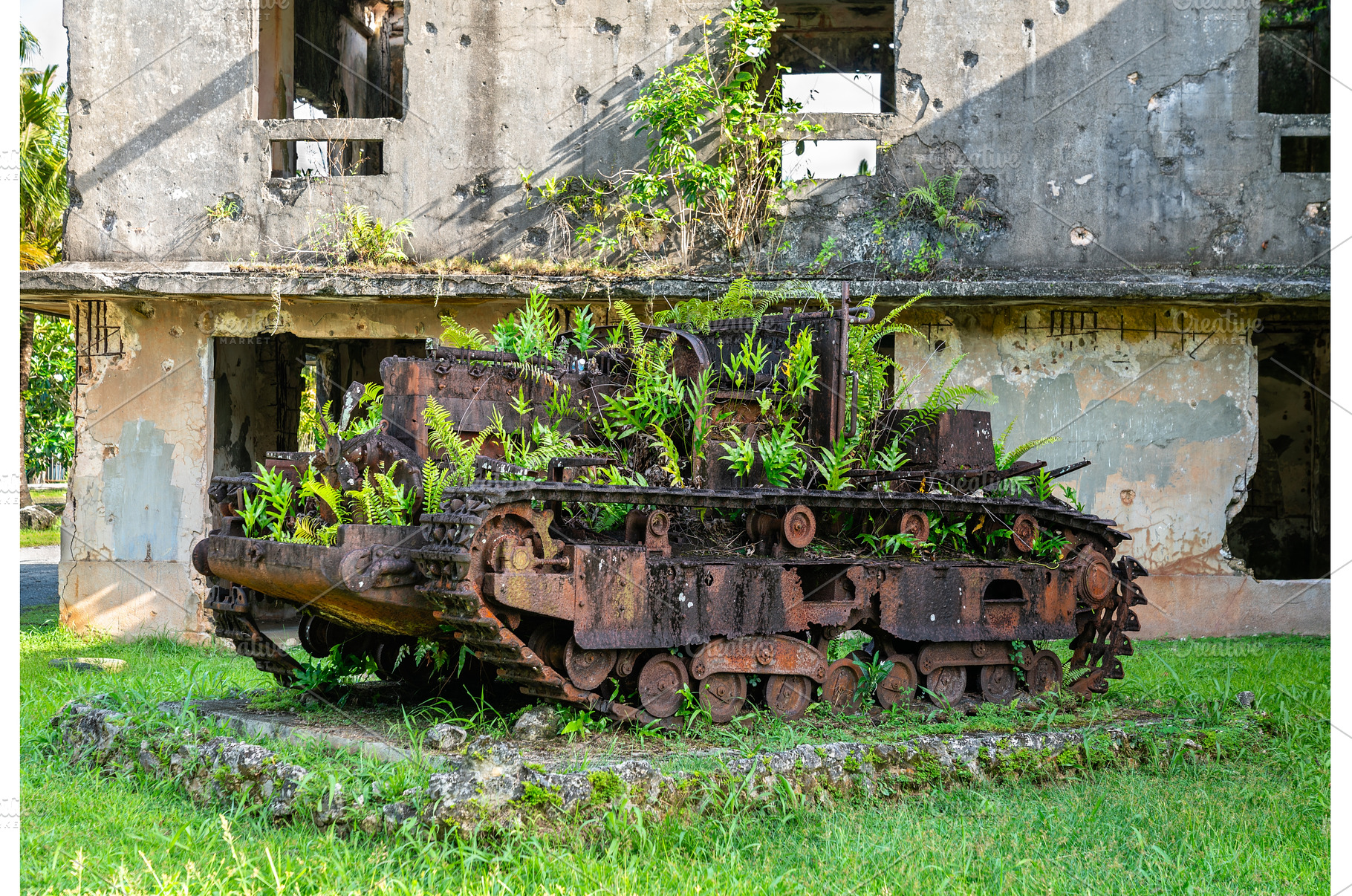 Overgrown Japanese Tank at WWII, an Architecture Photo by Leonid Andronov