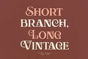 Aesthic Classic, a Serif Font by Joko Setiono (Thumbnail 2 of 10)