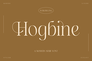 Hogbine A Modern Serif Font