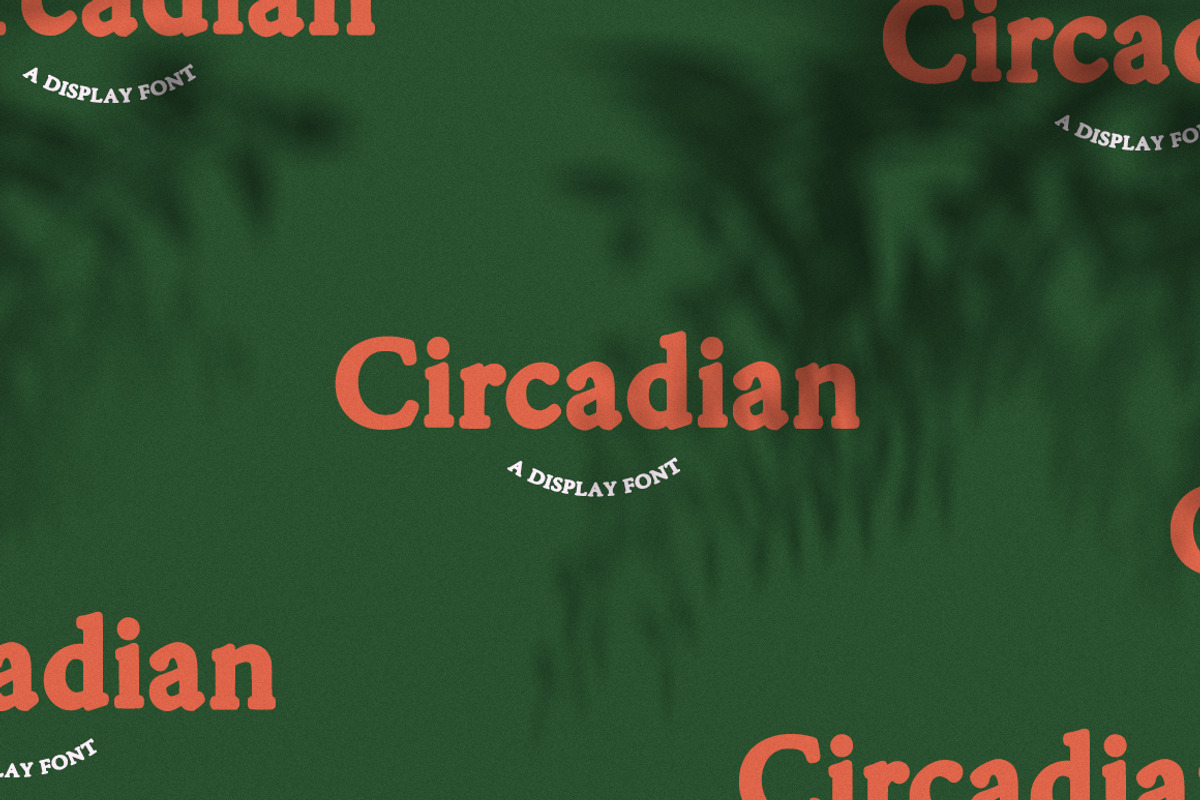 Circadian, a Serif Font by Bouchard Designs (Photo 8 of 9)