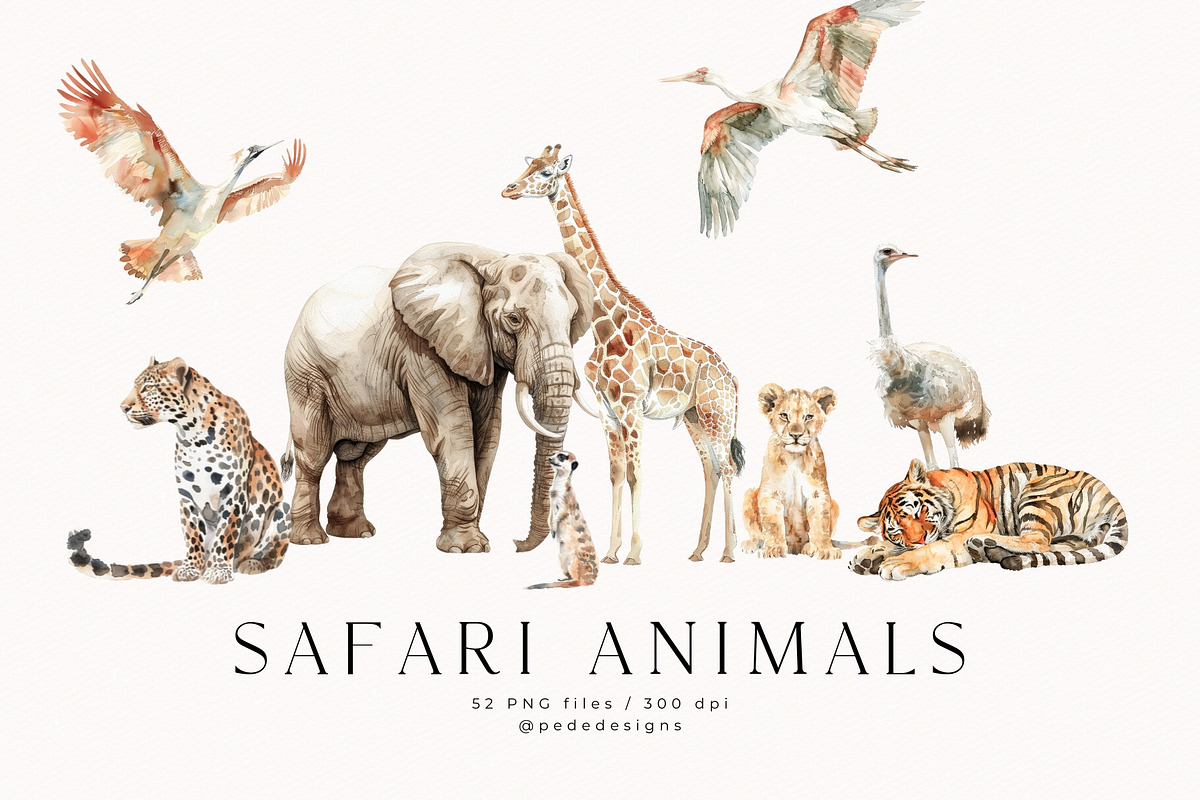 Safari Story, an Animal Illustration by PeDe Designs (Photo 2 of 15)