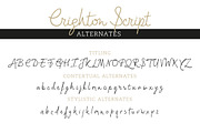 Crighton + Lev Duo Font Pack *Sale*, a Script Font by TypeFaith Fonts (Thumbnail 10 of 13)