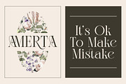 Lissa Stylish Ligature Serif Font, a Serif Font by Eotype Studio (Thumbnail 4 of 9)