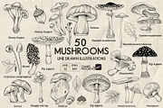 Mushrooms Line Art + Procreate, an Illustration by Skliarova (Thumbnail 1 of 4)