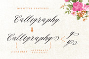 Cellicia Script, a Script Font by ianmikraz (Thumbnail 4 of 5)
