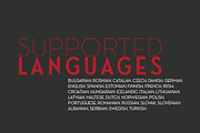 Ace Sans Roman, a Sans Serif Font by FactoryType Studio (Thumbnail 11 of 11)