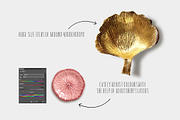 BOHO SOUL scene creator & items, a Product Mockup by Isabelle Salem (Thumbnail 3 of 11)