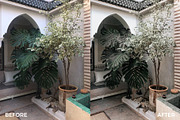 Insta Green Lightroom Mobile Presets, an Action Add-On by in between details (Thumbnail 17 of 17)