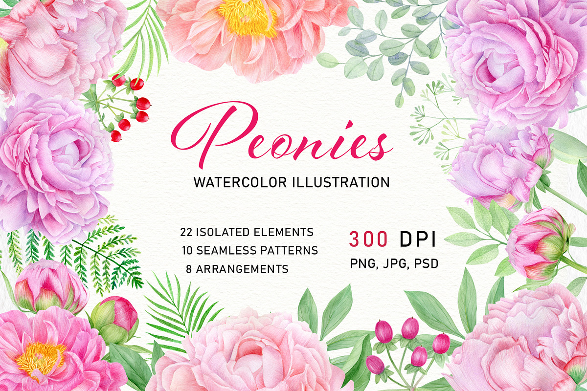 Watercolor pink peony illustrations, a Texture Illustration by svetodesign (Photo 1 of 11)