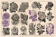 70 Vintage Rose Illustrations, an Illustration by Brigantine Designs (Thumbnail 7 of 7)