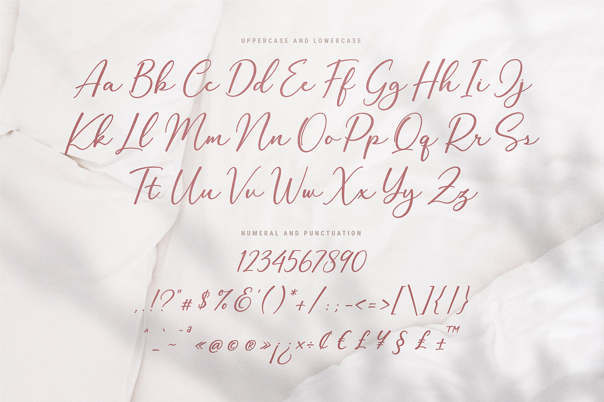 Halegio | Modern Calligraphy Font, a Script Font by Ariya Works (Photo 11 of 11)