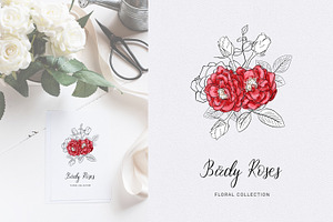 Birdy Roses Collection