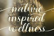 Lisaline, a Script Font by Artisan Themes (Thumbnail 9 of 11)