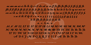 Barocco PRO, a Serif Font by preussTYPE (Thumbnail 6 of 12)