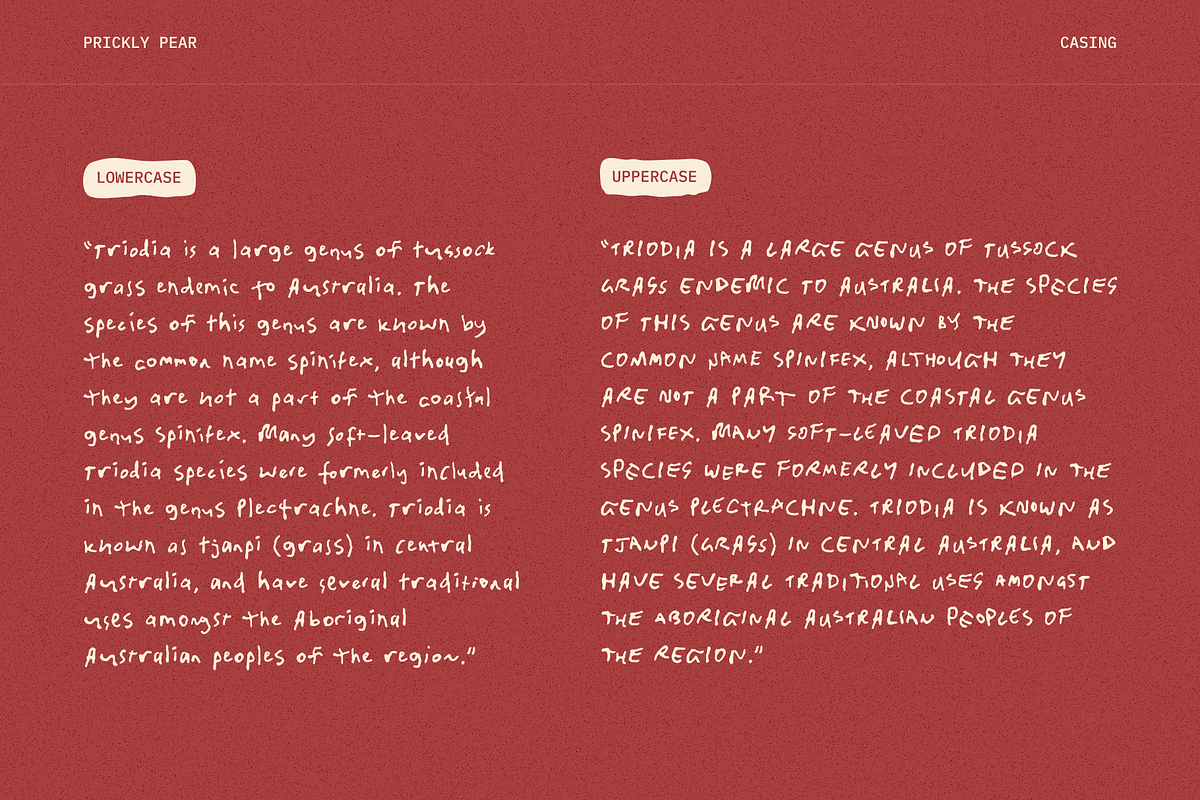 Prickly Pear Desert Handwriting Font, a Handwritten Font by TYPEHEIST (Photo 7 of 11)