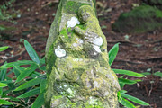 Moss-covered Jizo statue at Jochi-ji Temple in Kamakura, Japan, an Abstract Photo by GoodGoods (Thumbnail 2 of 2)