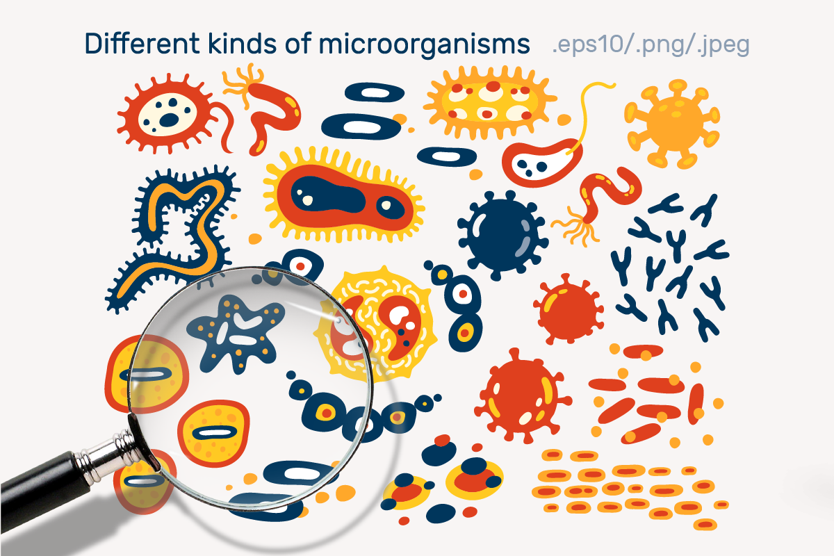 BACTERIUMS patterns & illustrations, an Education Illustration by Nastya Tkachova (Photo 2 of 13)