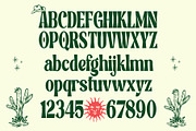 Aphilles Display Font, a Sans Serif Font by Heinzel Std (Thumbnail 5 of 8)