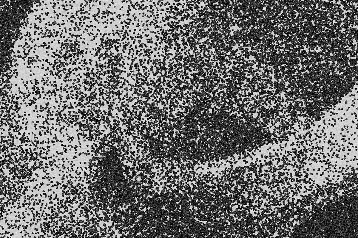 Vintage Stipple Pointillism Effect, a Layer Style Add-On by The Motel (Photo 7 of 7)