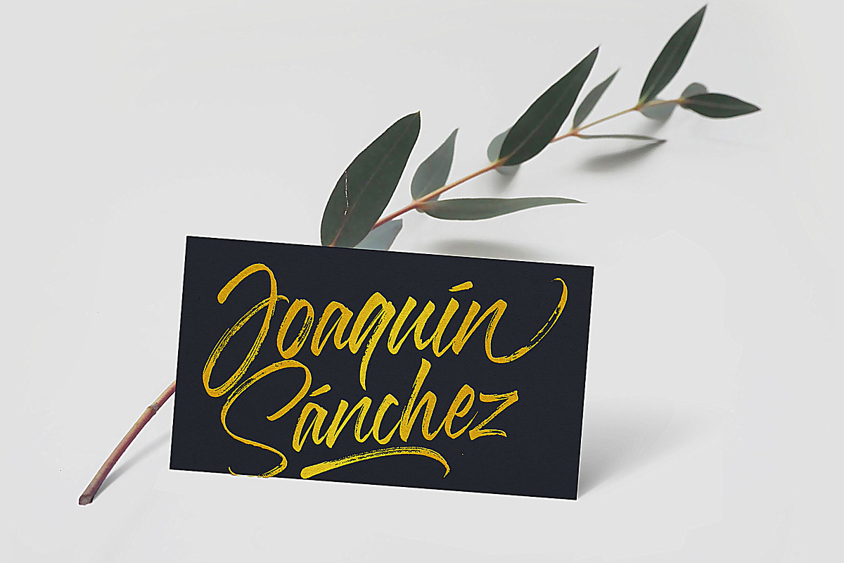 Fudelines Brush Font preview 7
